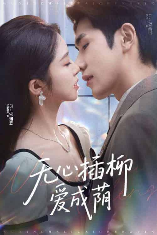 无心插柳爱成荫（50集）李铂一＆吴毅非-搜外项目网