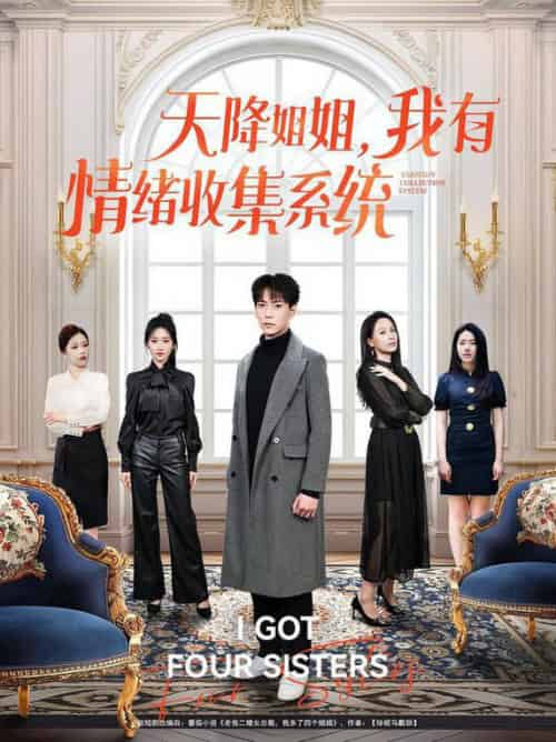 天降姐姐,我有情绪收集全系统(80集全)张涵&王佳琪&辛润茜&钟嘉玲&远霞-搜外项目网