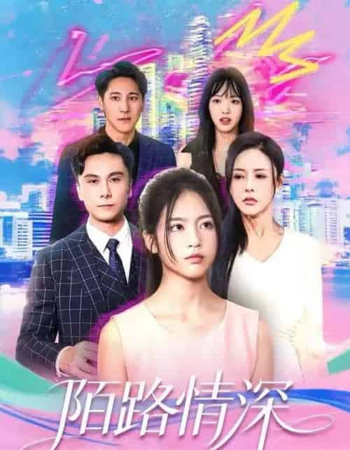 陌路情深（60集全）李佳轩＆曹轩荣-搜外项目网