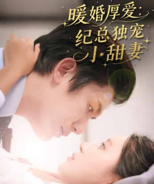 暖婚厚爱纪总独宠小甜妻（92集）黄靖＆方璇-搜外项目网