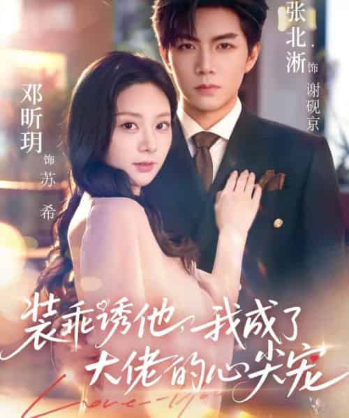 装乖诱他，我成了大佬的心尖宠（79集全）张北淅＆邓昕玥-搜外项目网