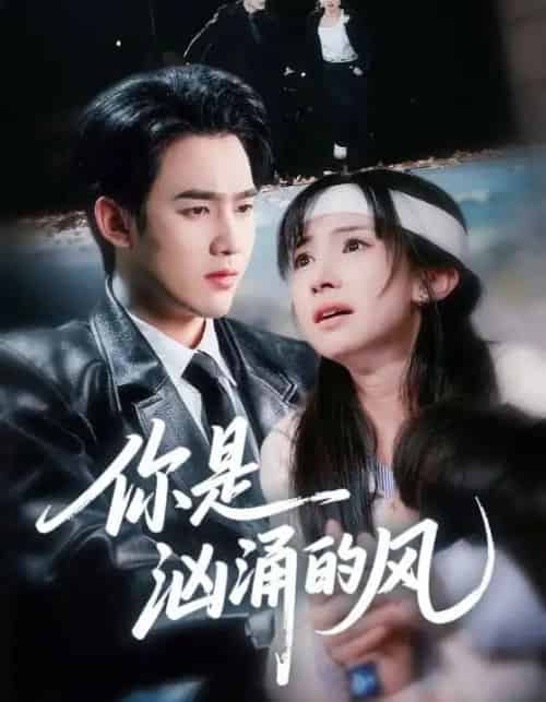 你是汹涌的风（70集全）孙艺荀＆杨紫艺-搜外项目网