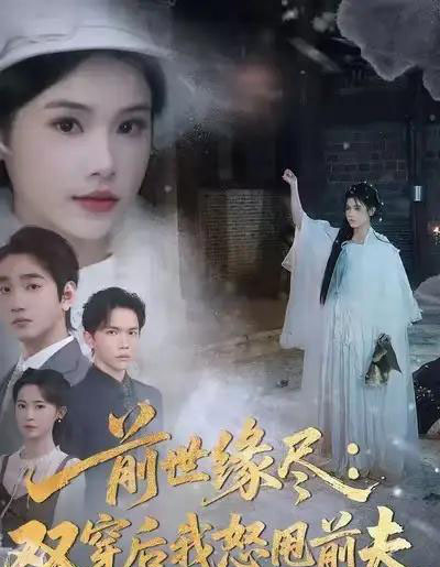 前世缘尽：双穿后我怒甩前夫（90集全）舒沁儿＆李文翰-搜外项目网