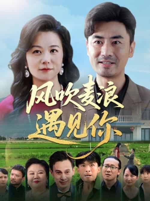 风吹麦浪遇见你（60集全）李易泽＆李晓-搜外项目网