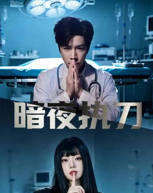 暗夜执刀(60集全)邓靖泓&赵莎莎&段钰-搜外项目网