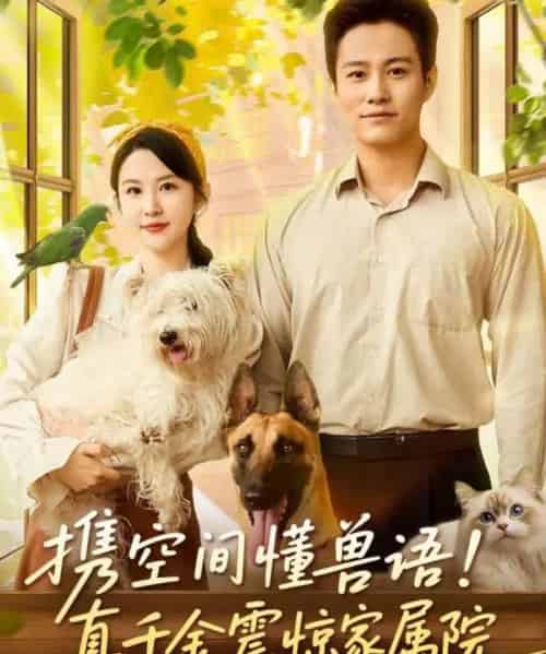 携空间懂兽语！真千金震惊家属院（81集全）晁轩＆朱艺雯-搜外项目网