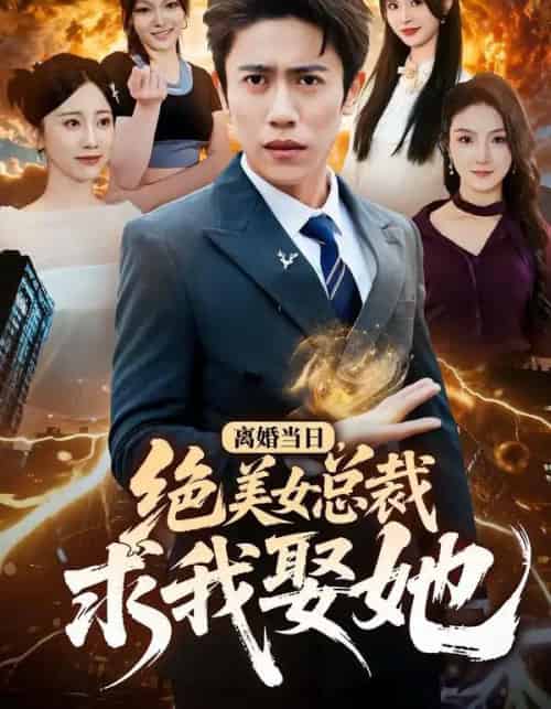 离婚当日,绝美女总裁求我娶她(81集全)周越&顾嘉轩-搜外项目网