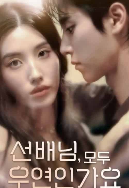 前辈，都是偶然吗（50集全）韩国-搜外项目网