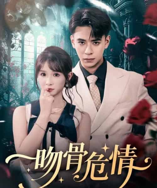 吻骨危情（73集全）刘六六＆王云菲-搜外项目网