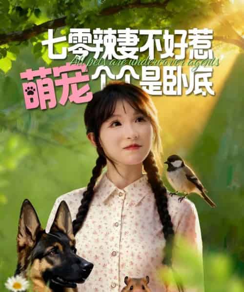 七零辣妻不好惹萌宠个个是卧底(96集全)王云菲&姜铭怀-搜外项目网