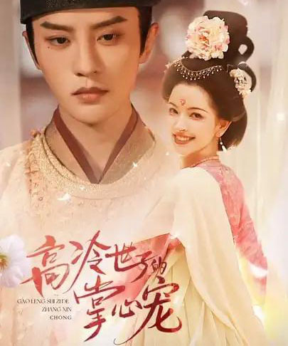 高冷世子的掌心宠＆高冷世子的掌心娇婢（86集全）陈云廷＆张雪菡-搜外项目网