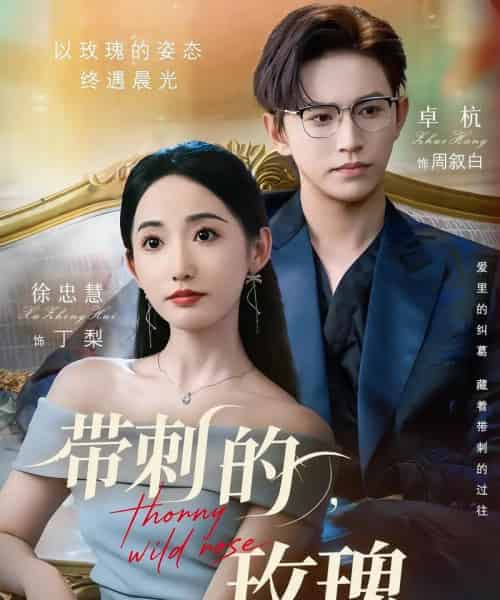 带刺的玫瑰＆带刺的野玫瑰（56集）卓杭＆徐忠慧-搜外项目网