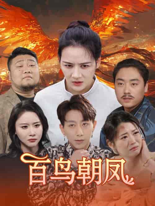 百鸟朝凤（39集）王飞乔-搜外项目网