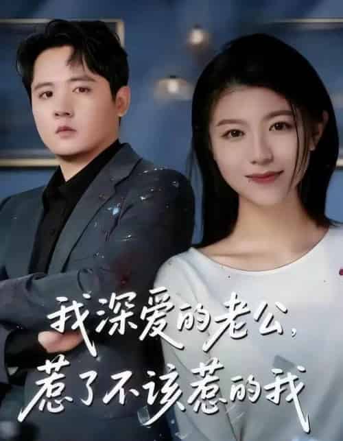 我深爱的老公，惹了不该惹的我（60集全）白龙＆韩严非-搜外项目网