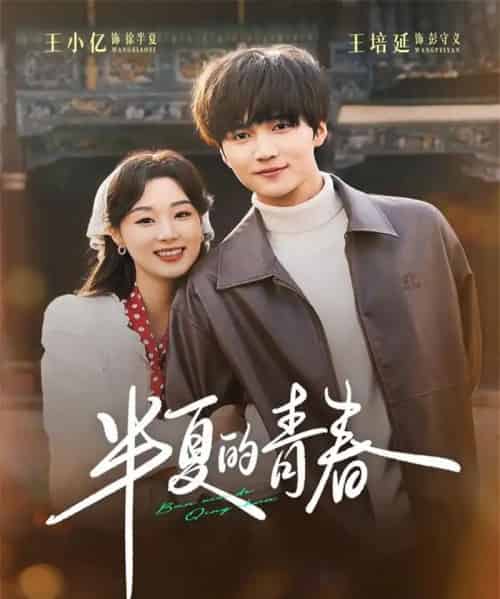 半夏的青春（80集全）王小亿＆王培延-搜外项目网