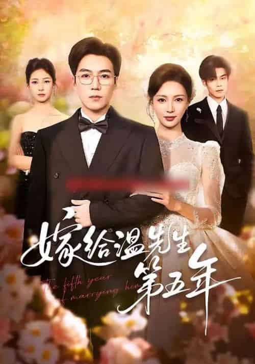 嫁给温先生第五年（60集全）滕昊天＆于心意-搜外项目网