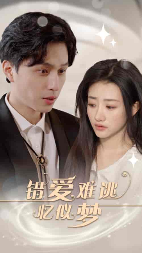 错爱难逃忆似梦(95集)鲍治玥-搜外项目网