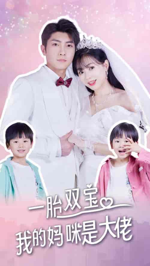 一胎双宝，我的妈咪是大佬（91集）-搜外项目网