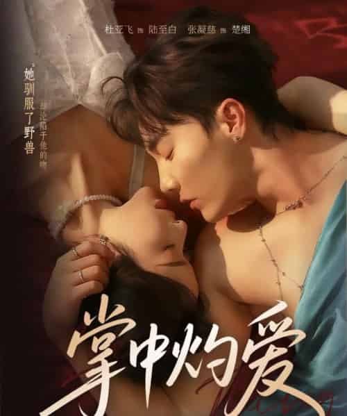 掌中灼爱（62集全）杜亚飞＆张凝慈-搜外项目网