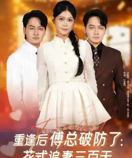 重逢后傅总破防了：花式追妻三百天（81集全）陈文川＆刘舸-搜外项目网