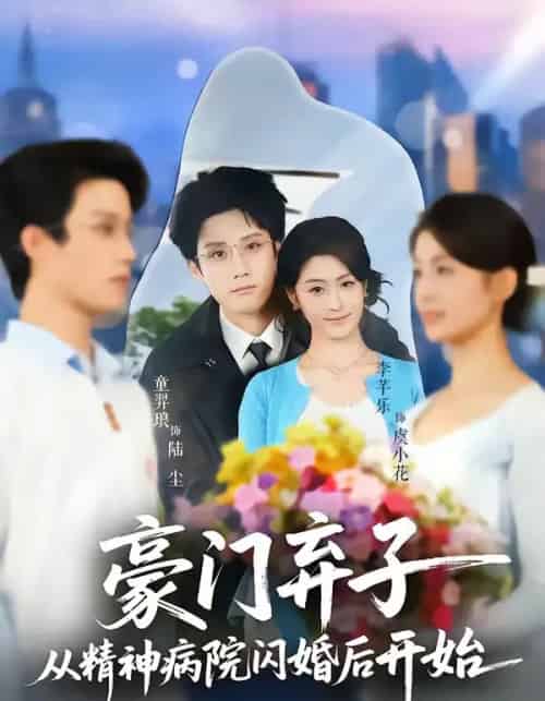 豪门弃子从精神病院闪婚后开始(56集全)童羿琅&李芊乐-搜外项目网