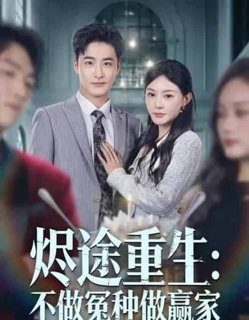 烬途重生：不做冤种做赢家（80集全）陈洁蕾＆李季-搜外项目网