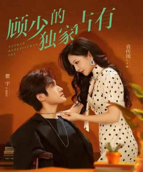 顾少的独家占有（66集全）袁传琪＆瞿宇-搜外项目网