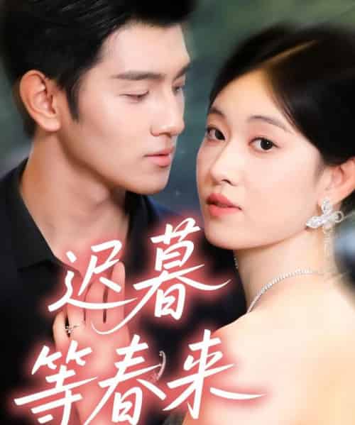 迟暮等春来（63集全）何佳妮＆李隆泽-搜外项目网