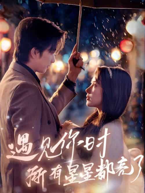 遇见你时所有星星都亮了(66集全)侯明岩&辛润茜-搜外项目网