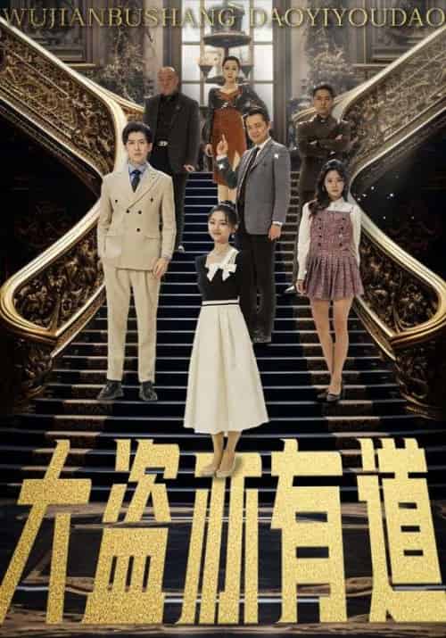 大盗亦有道（52集全）李伟＆杨丽-搜外项目网