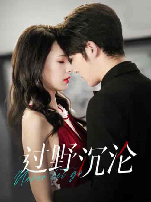 过野沉沦（100集全）王子林-搜外项目网