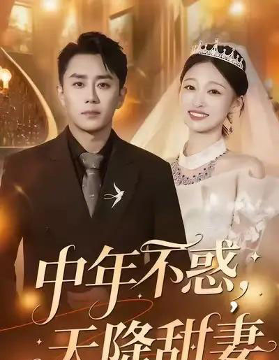中年不惑，天降甜妻（60集全）卓颐＆阎纪圻-搜外项目网