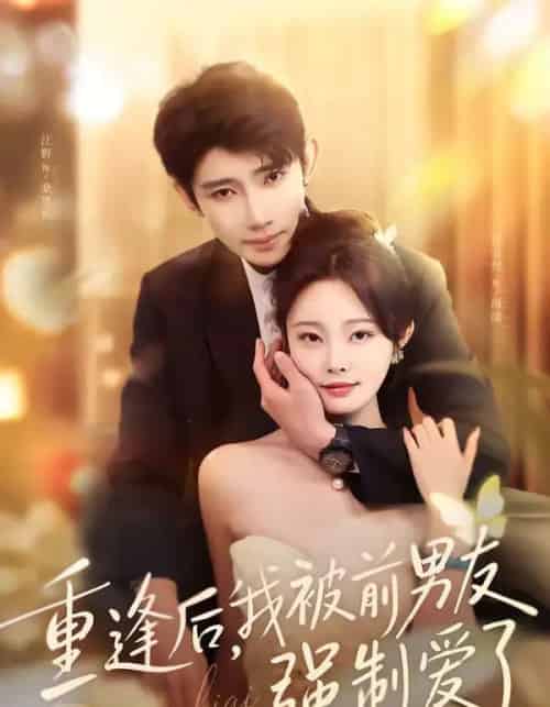 重逢后，我被前男友强制爱了（80集全）江野＆林非梵-搜外项目网