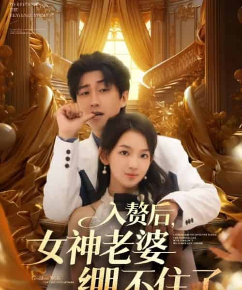 入赘后女神老婆绷不住了（88集）李云鹏＆张婉悦-搜外项目网