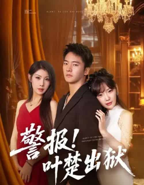 警报!叶楚出狱(80集全)朱新辉&常文景-搜外项目网