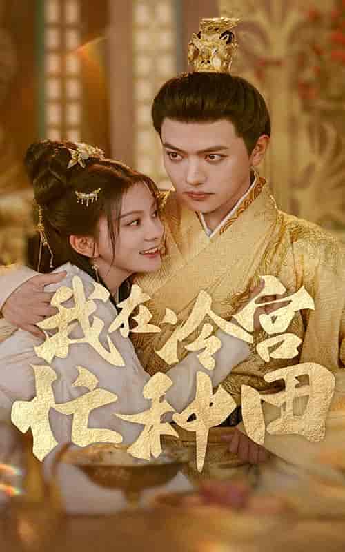 我在冷宫忙种田(100集)马秋元-搜外项目网