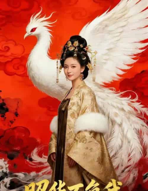 昭华不负我（21集全）AI-搜外项目网