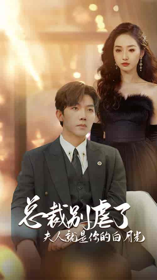 总裁别虐了夫人就是你的白月光＆千金归来前夫他高攀不起（80集）徐忠慧-搜外项目网