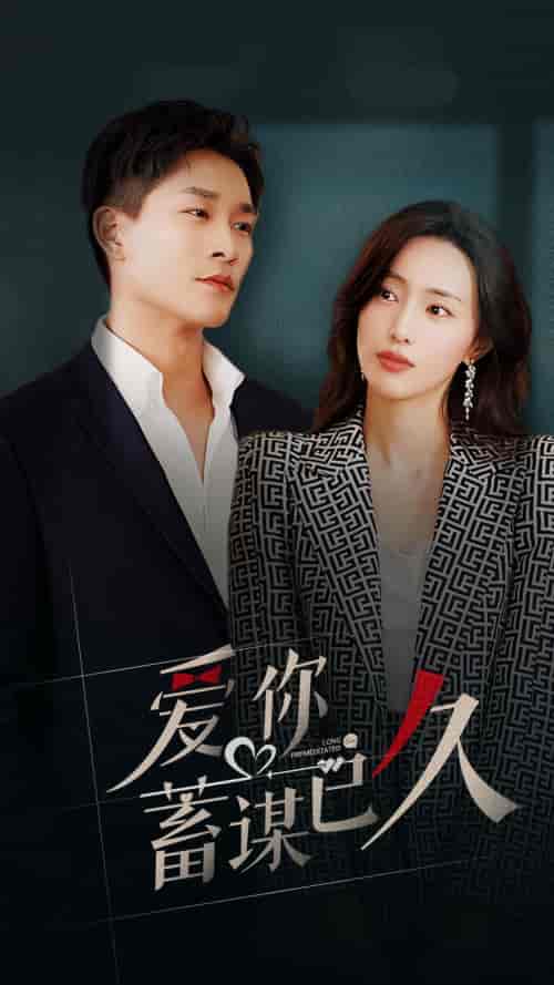 爱你蓄谋已久（105集）-搜外项目网