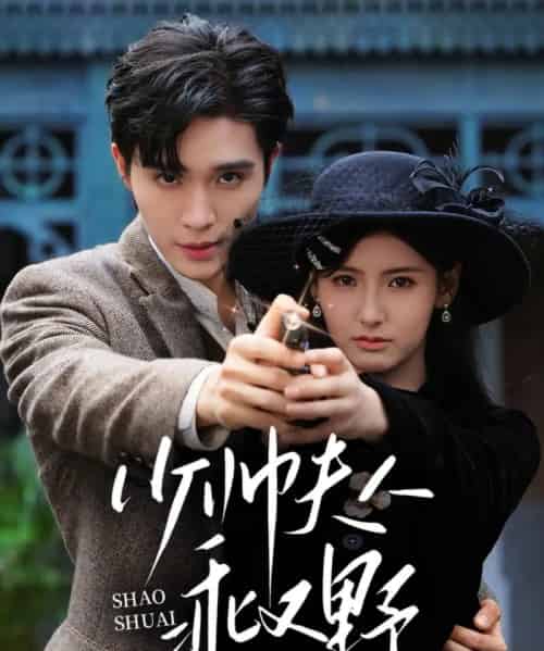 少帅夫人乖又野（84集）梁思伟＆王槿-搜外项目网