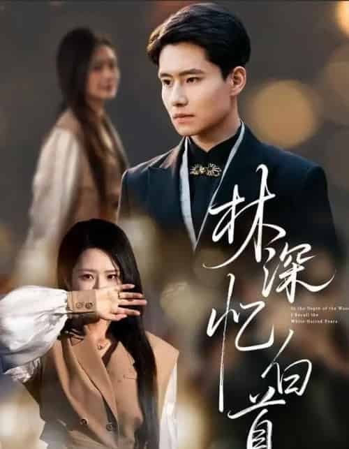 林深忆白首(60集全)张佳艺&翟兆星-搜外项目网