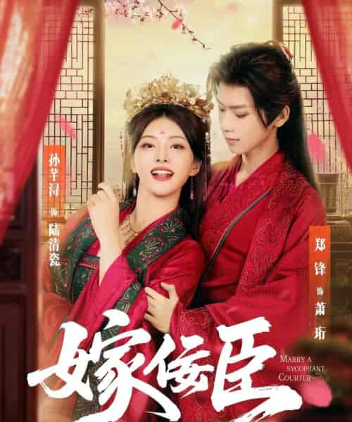 嫁佞臣（80集）郑锋＆孙芊浔-搜外项目网