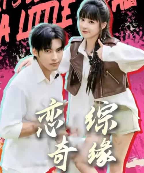 恋综奇缘(80集全)文渊&石雪婧-搜外项目网