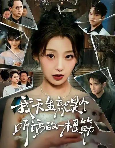 我天生就是个听话的一根筋（75集全）王倩＆孟令今-搜外项目网