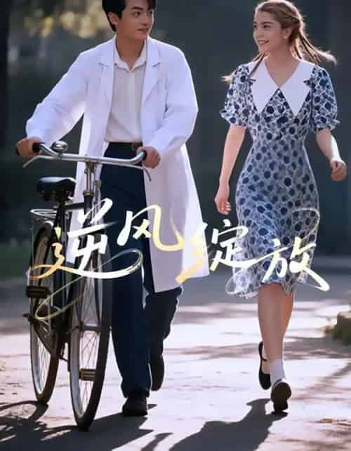 逆风绽放（55集全）迪娜DeNa＆周煜枫＆瓦日斯-搜外项目网