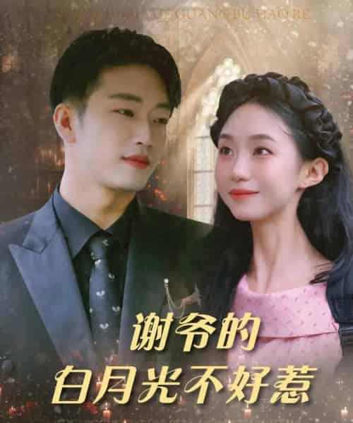 谢爷的白月光不好惹（61集）郑皓月＆罗东旭-搜外项目网
