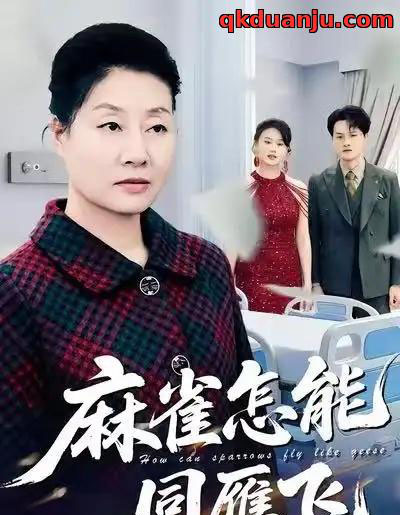 麻雀怎能同雁飞(60集全)陈家豪&冀小英-搜外项目网