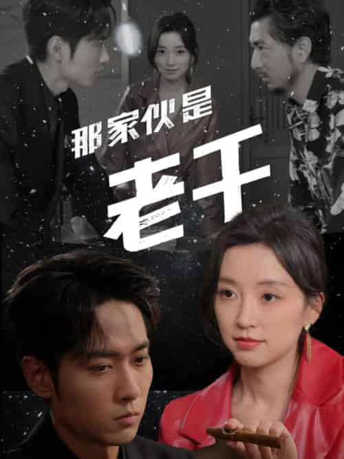 那家伙是老千（75集全）霍俊全＆唐之斐-搜外项目网