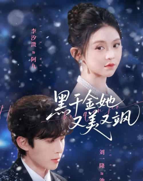 黑千金她又美又飒(77集全)刘一隆&李汐微-搜外项目网