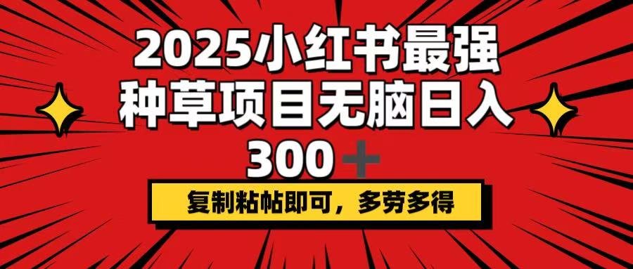 2025小红书最强种草项目，无脑日入300+，复制粘帖即可，多劳多得-搜外项目网